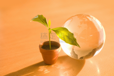 地球形,秧苗,锅,双叶区,水平画幅,无人,泥土,阴影,全球通讯,全球商务
