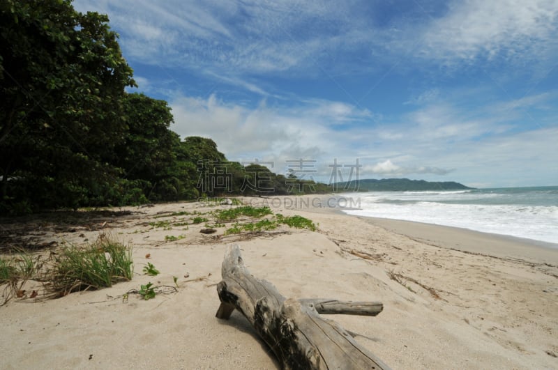 哥斯达黎加,海滩,海岸线,鸡尾酒,迈帕斯海滩,nicoya peninsula,曼努埃尔安东尼奥国家公园,关那卡斯提,彭塔雷纳斯省,浮木