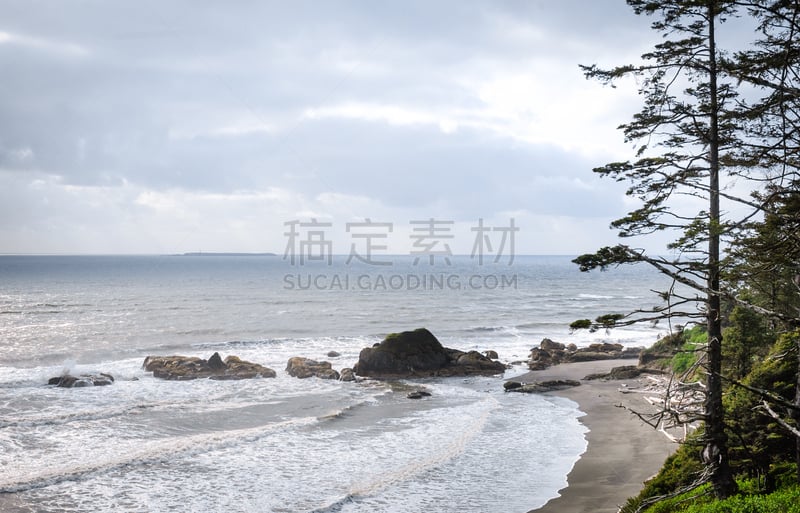 太平洋海岸,鲁比海滩,国际生物圈保护区,奥林匹克山脉,奥林匹克山,有序,自然,式样,美国,水平画幅