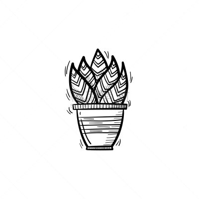 图标,草图,虎尾兰,动物手,背景分离,花盆,热带气候,植物,乱画,白色