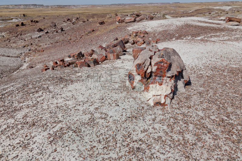 石化木,自然,纳瓦霍县,石化森林国家公园,地质学,风景,图像,国家公园,沙岩,多彩沙漠