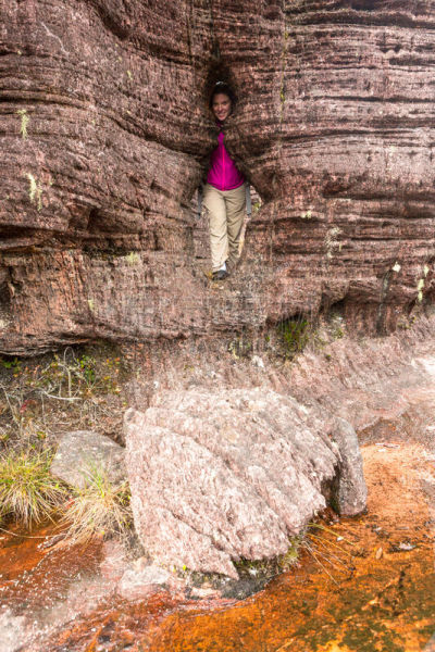 罗赖马山,canaima,平顶山,平顶山区,罗赖马州,委内瑞拉,垂直画幅,南美,水,无人