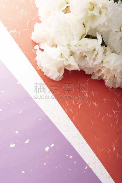 图像,日本,高雅,纯净,彩色背景,垂直画幅,葬礼,桔梗花,洋桔梗,无人