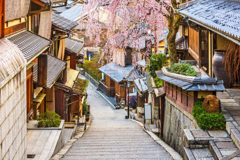 京都府,日本,春天,东山区,祗园,樱桃树,巷,樱花,花见节,近畿区域