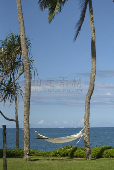 吊床,天堂,退出键,斐济,垂直画幅,天空,度假胜地,无人,棕榈树,彩色图片