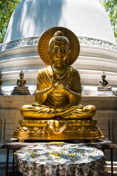 佛,黄金,科伦坡,园艺师,斯里兰卡,垂直画幅,水,天空,公园,林区