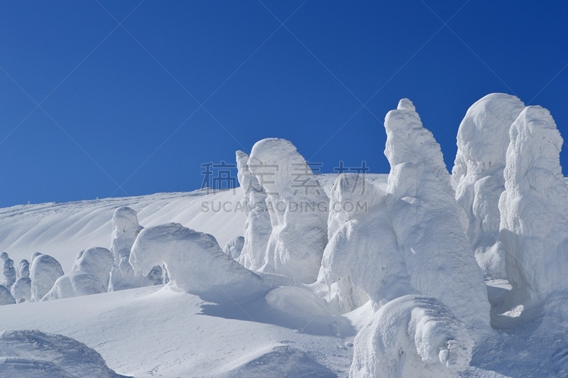 雪,佐阿山脉,山,怪物,山形县,旅游目的地,水平画幅,冬天,无人,东北片区