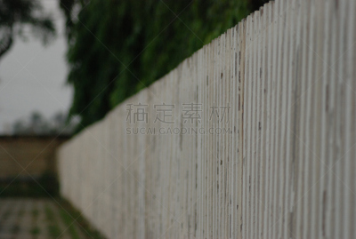 白色,篱笆,边框,古董,艺术,水平画幅,纹理效果,墙,用栅木板阻断,干花