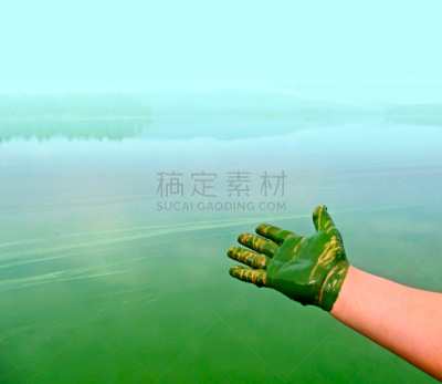 手,绿色,有毒物质,材料,湿,纹理效果,自然界的状态,环境,环境保护