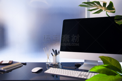 现代,显示器,工作场所,设备用品,桌子,正下方视角,玻璃,黑色,台式个人电脑,室内植物