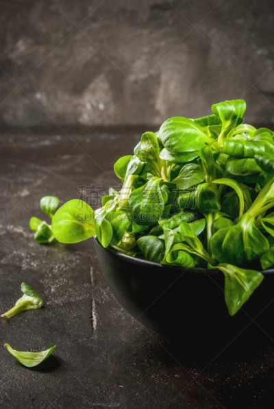 野苣,沙拉,生食,leafy gall,菊苣,芝麻菜,膳食纤维,石片,菠菜,素食