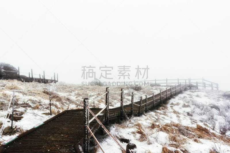 冬天,光辉道路,勒马前行,美,公园,水平画幅,雪,户外,韩国,山