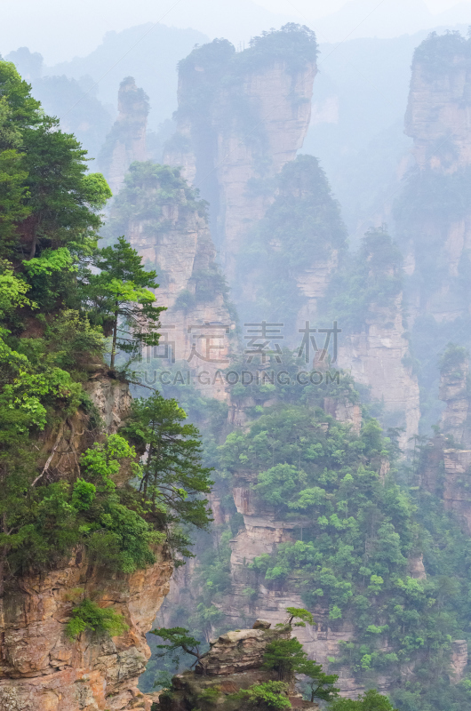 武陵源,中国,雾,山脉,天子山,张家界国家森林公园,张家界,湖南省,垂直画幅,国家公园