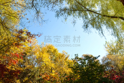 秋天,日光,爱达荷公园岛,哈尔滨,天空,美,公园,水平画幅,无人,园艺