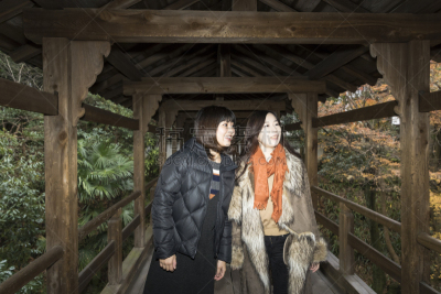 东福寺,女人,京都市,叶子,秋天,用鼻掘,美,休闲活动,水平画幅