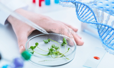 生物学,农业,健康保健,化学,生物化学,药,科学实验,技术,草,工程