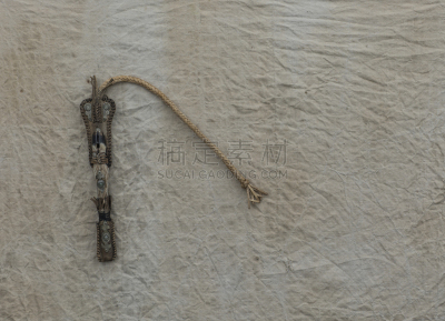 鞭子,过去,游牧民族,白色,古老的,图像,美国,丁字裤,动物身体部位,成年的