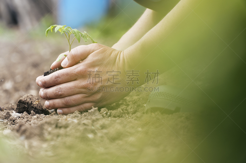 脐钉,部分,活力,农业,肮脏的,农场,想法,户外,园艺,农业设备