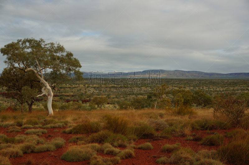 自然美,风景,the pilbara,死河,灌木丛,水,天空,水平画幅,瀑布,无人