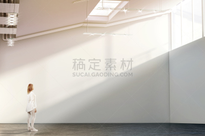 墙,白色,空白的,现代,女人,动脉壁,画廊的开幕式,内线航道,窗框,宽的