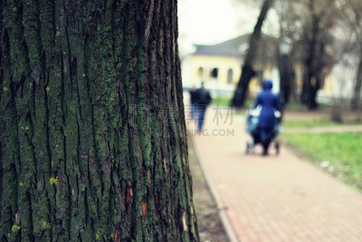 park in spring