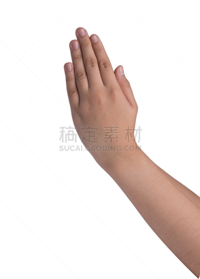 身份,女性,轿子,动物手,白色背景,分离着色,下犬式,垂直画幅,艺术家,优美