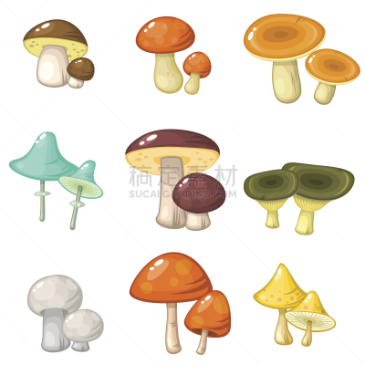 色彩鲜艳,蘑菇,森林,自然,毒红菇,部分,一个物体,图标集,食品,计算机图标