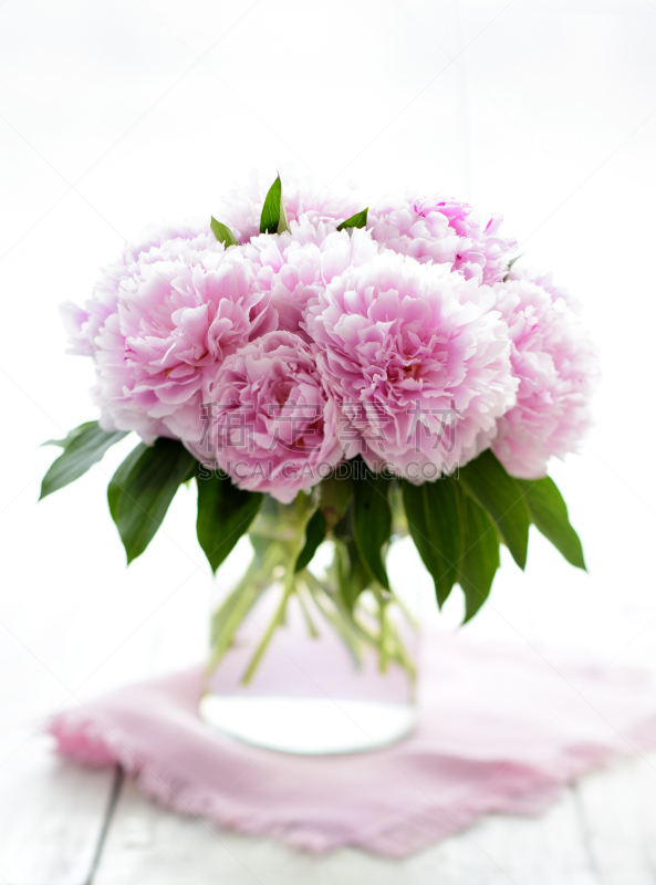 牡丹,粉色,花瓶,自然,白昼,垂直画幅,图像,Pink Princess Peony,仅一朵花