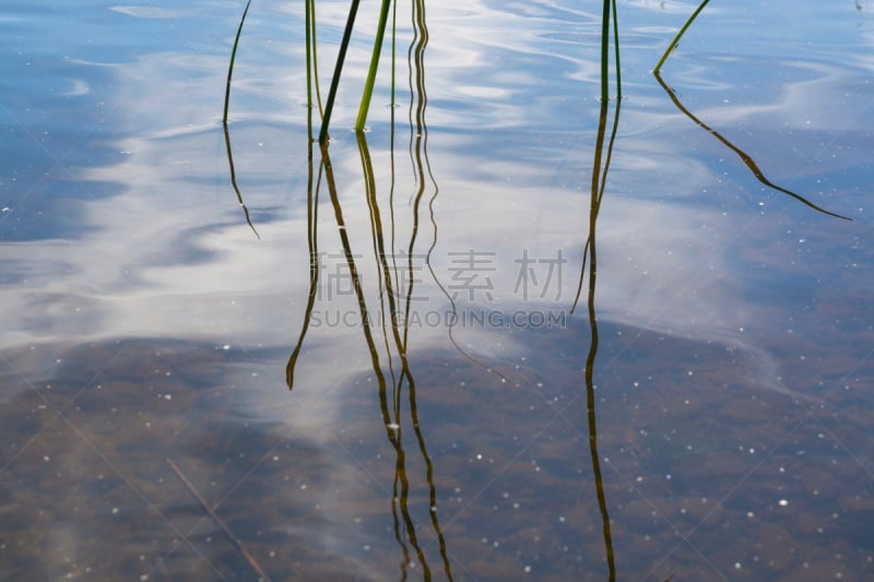 水,芦苇,抽象,马拉伦湖,天空,留白,褐色,浮标,水平画幅,无人