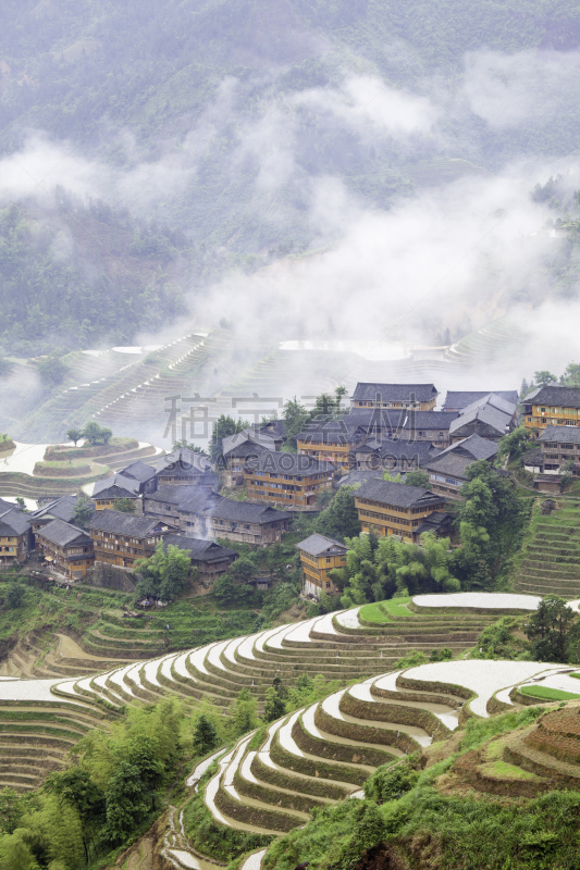龙脊梯田,瑶族,龙胜,桂林,云景,云,著名景点,自然美,稻田,中国