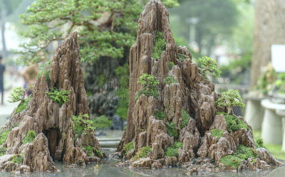 对称,两只动物,假山石,山,美,艺术,水平画幅,无人,石材,刺柏属丛木
