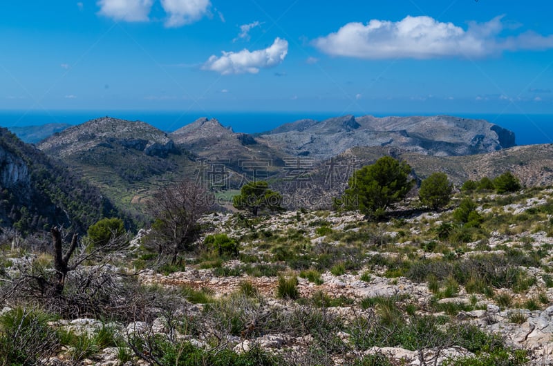 sierra de tramuntana,全景,自然美,西班牙,马略卡,大丹狗,天空,美,水平画幅,夏天