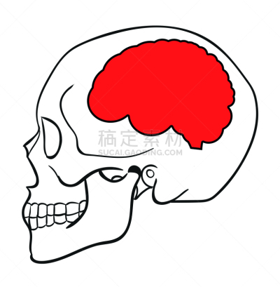 分离着色,侧面像,脑,抽象,绘画插图,三维图形,白色,神经丝,树突,第三节神经递质