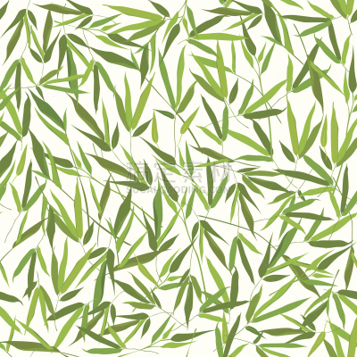 竹,夏天,叶子,背景,花纹,藤蔓植物,边框,无人,绘画插图,四方连续纹样