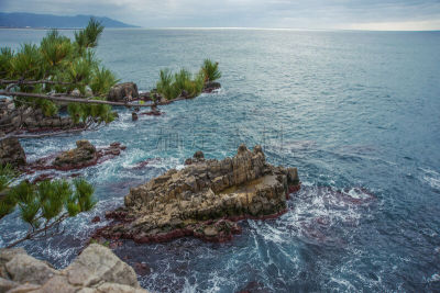 东寻坊,自然,冬天,纪念碑,都市风光,越前,福井县,北陆地区,水平画幅,户外