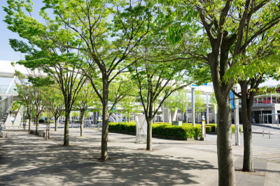 居住区,公寓,摩天大楼,美,水平画幅,建筑,无人,日本,建筑外部,户外