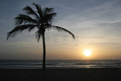 海滩,天空,玛格丽塔岛,水平画幅,无人,浪漫,户外,棕榈树,太阳,海洋