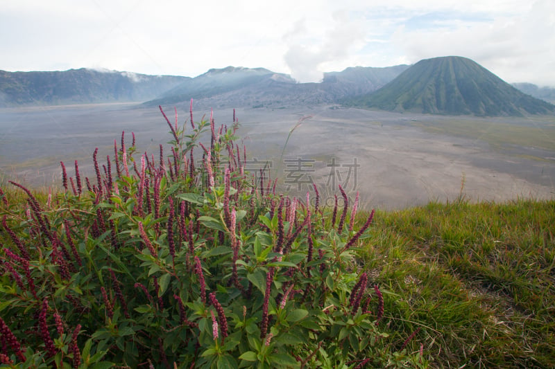 塞梅鲁火山,都市风光,婆罗摩火山,滕格尔火山,bromo-tengger-semeru national park,东爪哇,火山喷口,天空,水平画幅,山