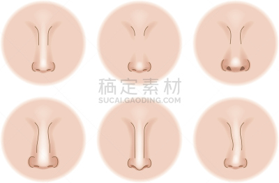 人的鼻子,形状,健康保健,spa美容,球体,生物医学插图,弯的,生活方式,图像