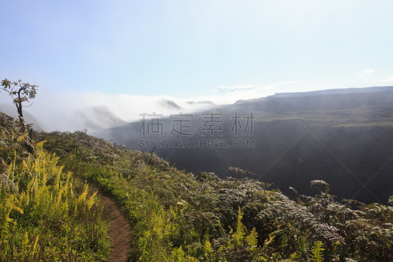 加拉帕戈斯群岛,小路,徒步旅行,在边上,塞罗阿苏尔火山,伊莎贝拉岛,伊莎贝尔群岛,自然,留白,厄瓜多尔