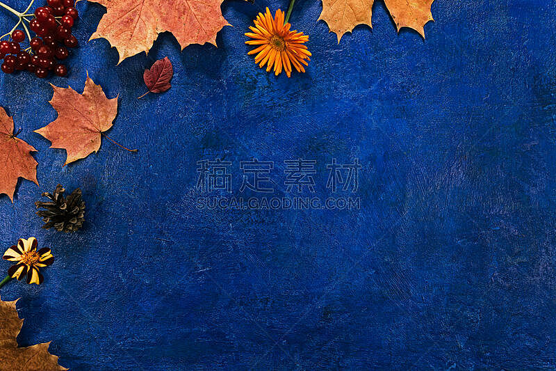 边框,叶子,秋天,水果,褐色,水平画幅,九月,干的,在上面,树林