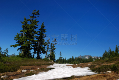 山,贝克尔山,公园,花旗松,天空,衣柜,水平画幅,雪,无人,户外