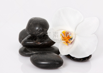 石材,兰花,禅宗,水平画幅,垒起,符号,特写,一把,鹅卵石,生长