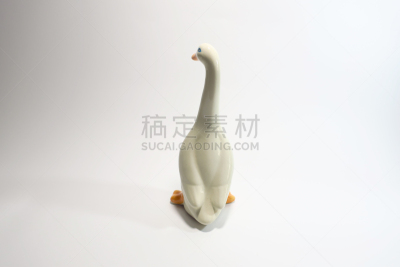 鹅肉,小的,商务,背景分离,边框,野生动物,泰国,动物,鸟类,丘陵鹅