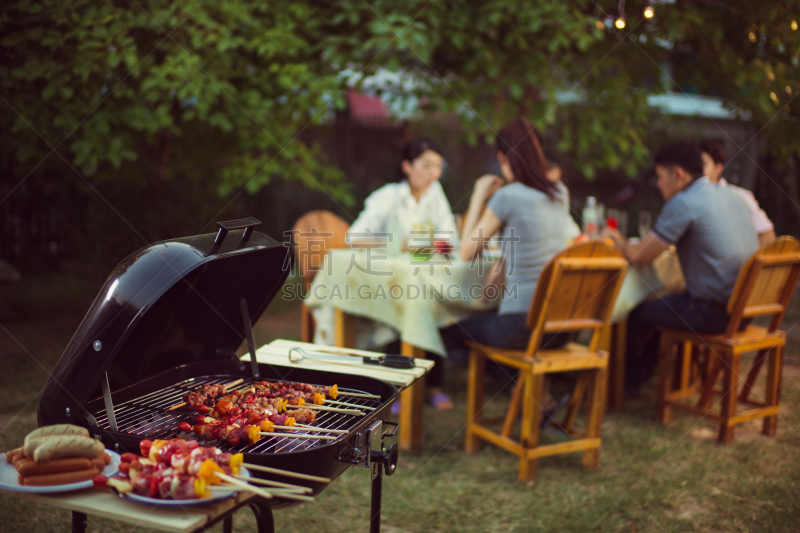 夜晚,烤肉架,宴会,烤猪肉,美,格子烤肉,水平画幅,膳食,夏天,周末活动