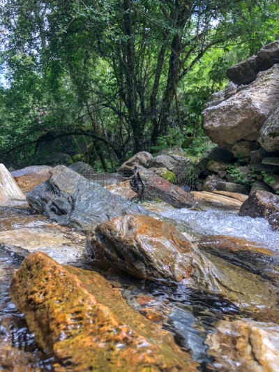 河流,地形,西班牙,圣地亚哥德古巴,特拉华,森林,里昂,石头,深的,热带气候