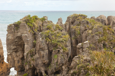 薄饼岩,新西兰,punakaiki,地震,呼吸孔,海床,新西兰南岛,天空,水平画幅,鸟类