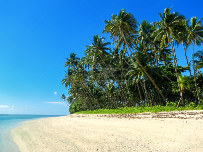 海滩,taveuni,沙子,斐济,乡村,度假胜地,水平画幅,南太平洋,旅行者,户外