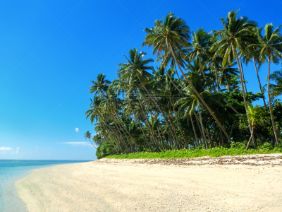 海滩,taveuni,沙子,斐济,乡村,度假胜地,水平画幅,南太平洋,旅行者,户外