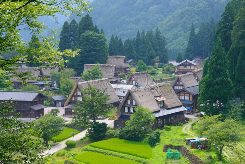 乡村,合掌屋,美,里山,水平画幅,旅行者,夏天,户外,非凡的,四季